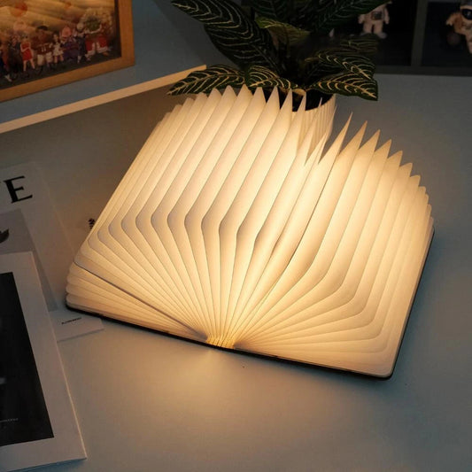 LAMPE LED VEILLEUSE LUMIBOOK